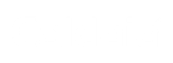 Logo Caldaia